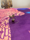 Baum mit energie Steine