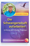 Die Schwangerschaft aufarbeiten Buch