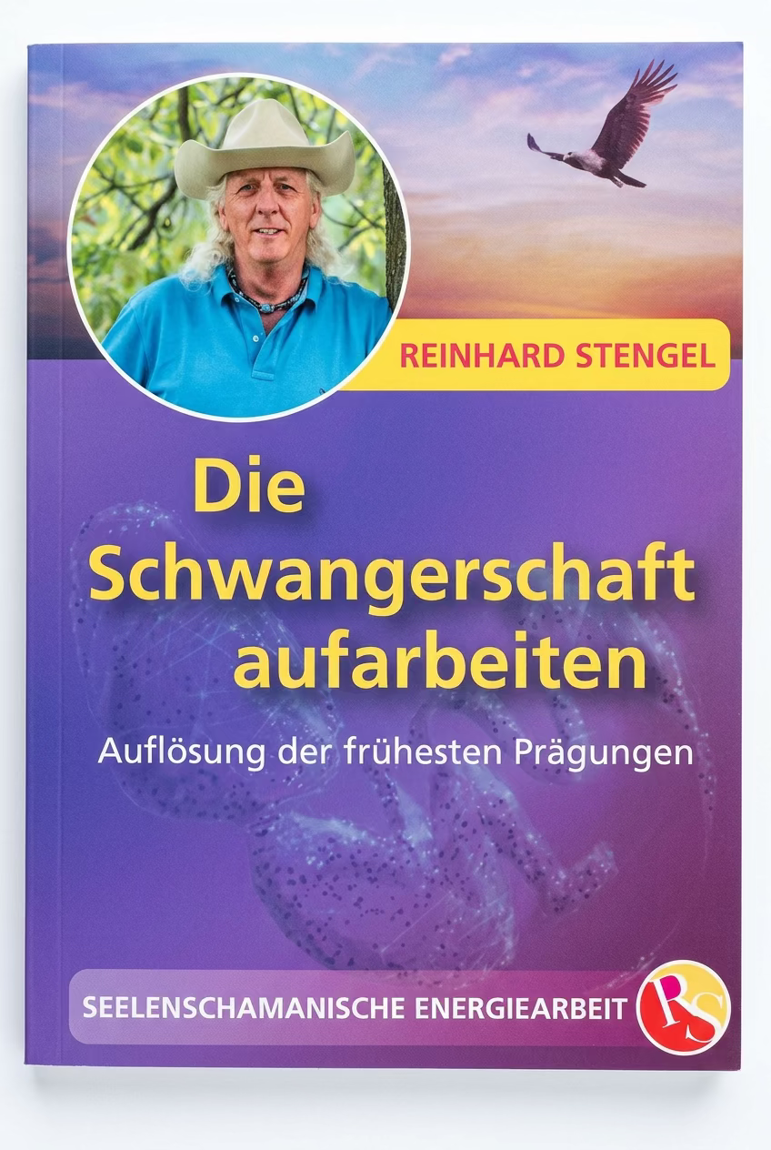 Die Schwangerschaft aufarbeiten Buch