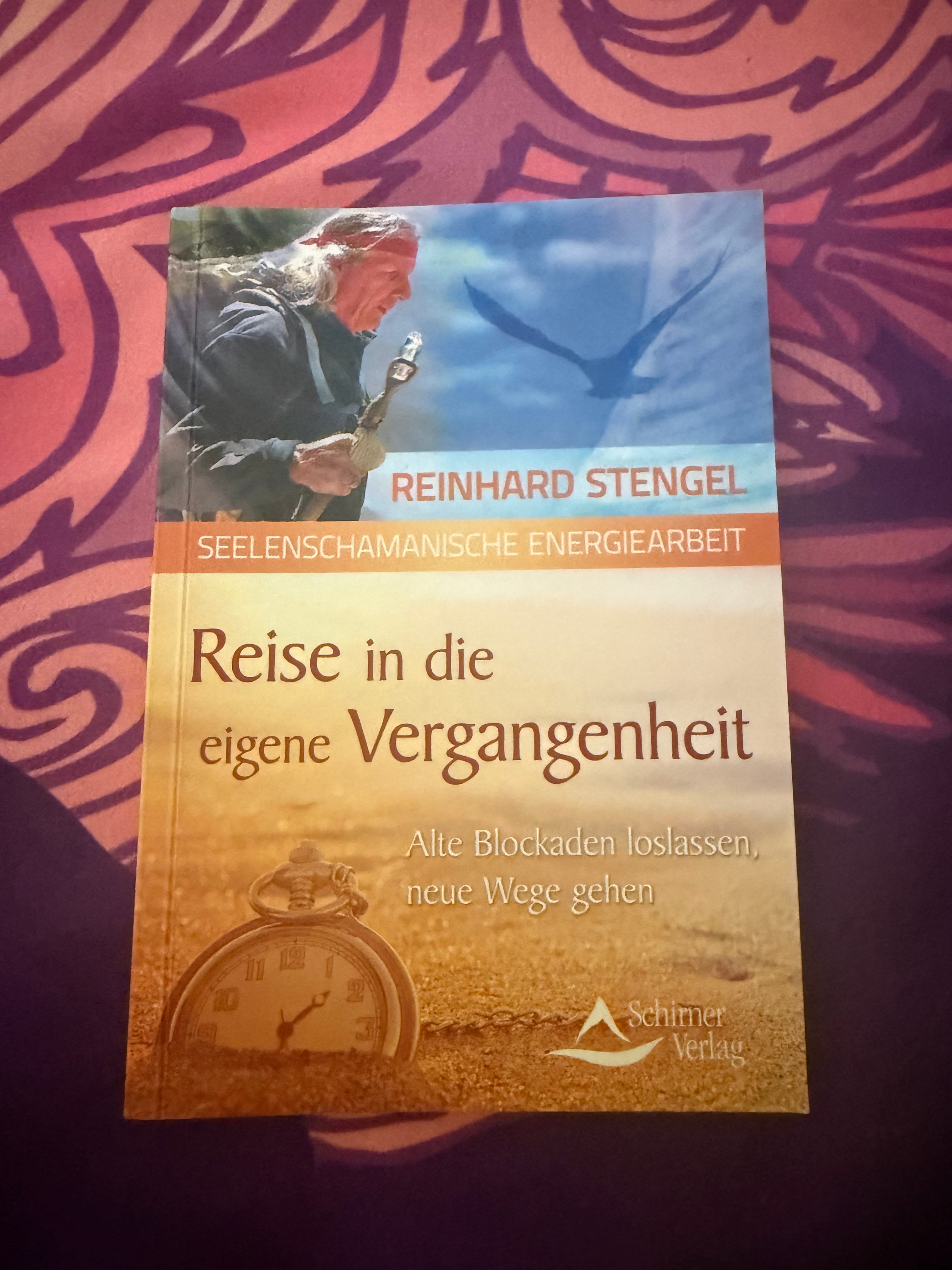 Reise in die eigene Vergangenheit Buch