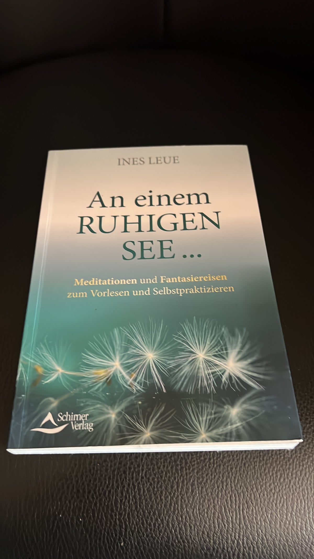 Buch: An einem ruhigen See
